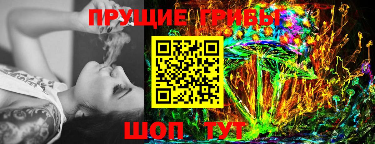 Псилоцибиновые грибы Cubensis  Вход с VPN  Галлюциногенные грибы Psilocybe  Губаха 